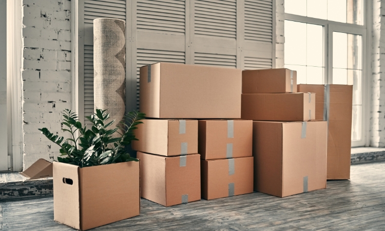 Things not to Pack When Moving