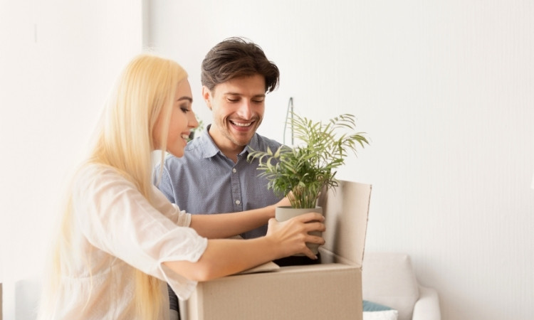 pack plants when moving